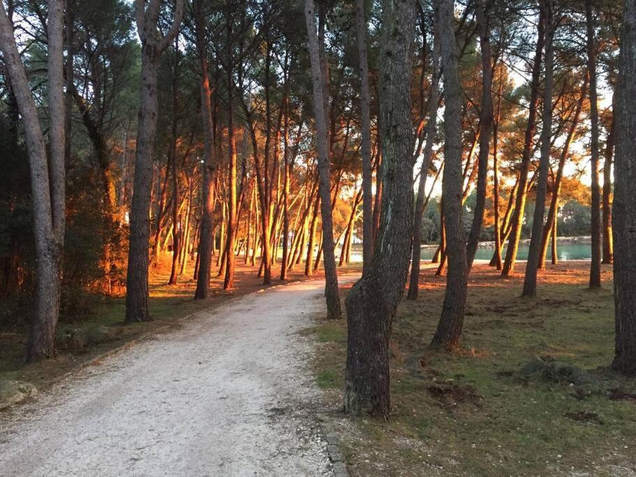 רוביני Apartment Capo D'Oro מראה חיצוני תמונה
